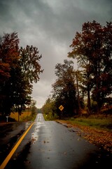 Rainy day road in autumn 