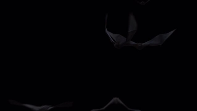 Halloween Bat Crowds on alpha channel place on footage or background and easier to change color.