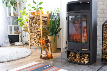 Bright sunny interior of the house with Black Metal Steel fireplace stove with fire and firewood...