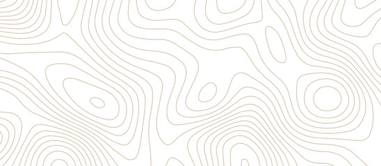 Fototapeta premium abstract White wave paper curved reliefs background .Panorama view gradient multicolor wave curve lines banner background design. Vector illustration. wave Line topography map contour background.