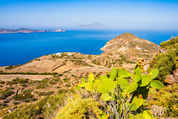 Green cacti plants on mountain and vIew of sea in background in Plaka village, Milos island, Cyclades, Greece