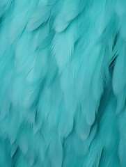 Obraz premium Turquoise textured feather close up background 