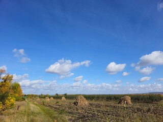 A field with hay bales