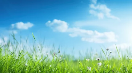 Foto op Plexiglas Landscape green field and blue sky. AI generated image © prastiwi