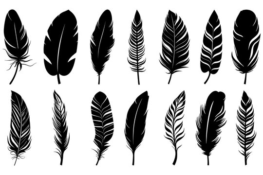 Feather black icon. Feather icons set. Various feathers.