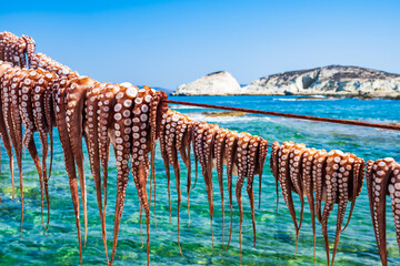 Strings of octopus hanging in the sun outside taverna in Mandrakia village, Milos island, Cyclades,...