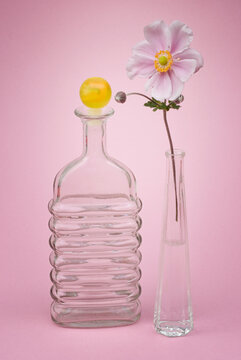 Pale pink anemone flowers on a pink background. with vase and bottle