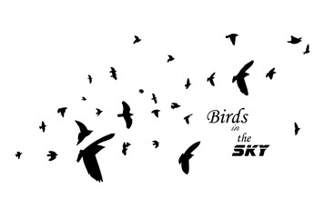 Flying birds silhouette flock. hand drawing. Not AI, Illustrat3. Vector illustration