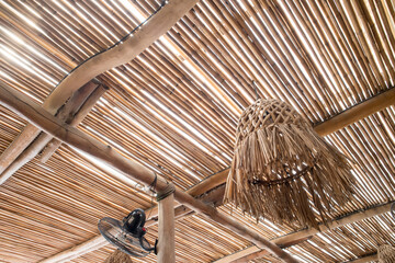 techo de palapa de manzanillo colima