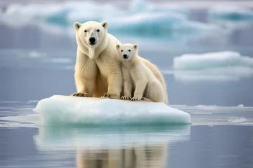 Foto op Canvas family polar bear mom and cub on ice, mother and child love © RJ.RJ. Wave