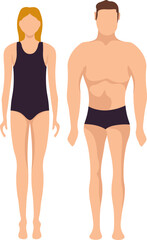  rectangular body type
