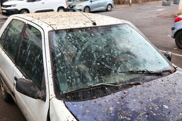 Bird droppings on parked car