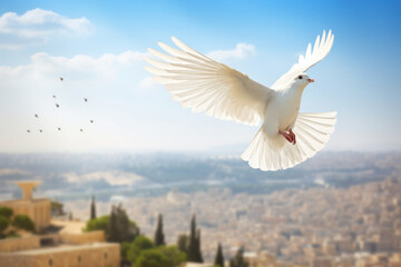 A white peace dove flying against a blue sky above a middle east city - obrazy, fototapety, plakaty