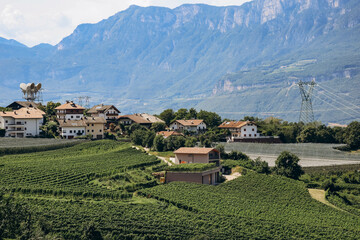 Pinot Noir Trail - the wine and culture trail is located in the famous Pinot Noir area, on the edge...