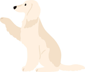 Illustration of Afghan Hound shaking hands