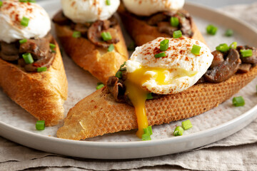 Homemade Creamy Mushroom Toasts on a Plate, side view. Close-up.