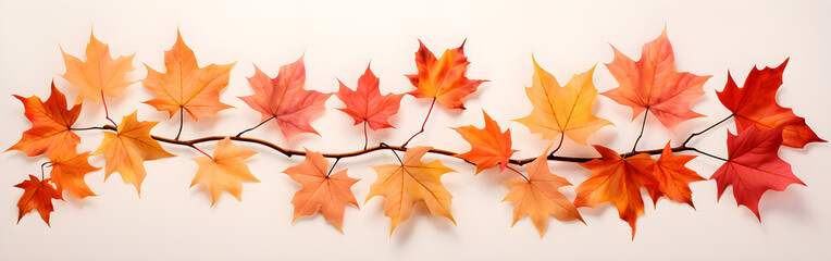 Autumn maple leaves on banner background