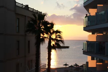 Türaufkleber Palme neben einem Haus / Hotel in Küstennähe © Christina