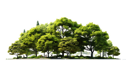 Green deciduous trees isolated on a transparent background