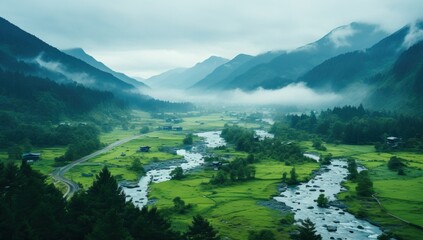 Fototapeta premium Foggy morning in the mountains. Landscape with green grass and river