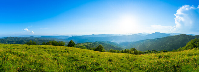 Carpathians mountains landscapes from green meadow on sunset, Apetska mountain, Ukraine - obrazy, fototapety, plakaty