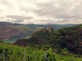 Blick über Weinberge auf die Burg Schönburg bei Oberwesel am Rhein im deutschen Bundesland Rheinland-Pfalz.