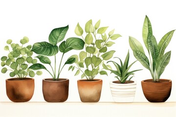 Fototapeta premium A row of potted plants sitting on top of a table