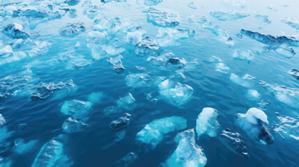 Fototapeta na wymiar Aerial View: Seals on Blue Icebergs 