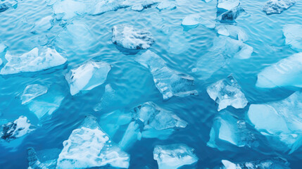 Glacial Beauty: Seals Basking on Blue Icebergs
