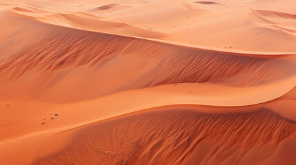 Fototapeta na wymiar Vibrant Red Sand Dunes National Park