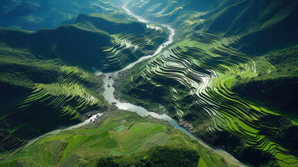 Picturesque Agricultural Marvel