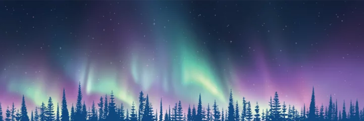 Zelfklevend Fotobehang Contour of trees against the background of aurora borealis, winter holiday illustration © Valerii