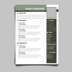 Resume CV vector Graphic Templates design