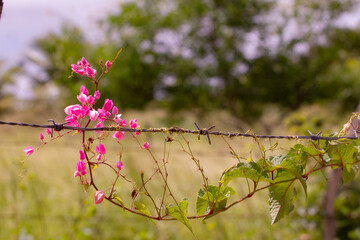 tduyyghjhgvkgyu9iukvbhjkcgtyrxtghb