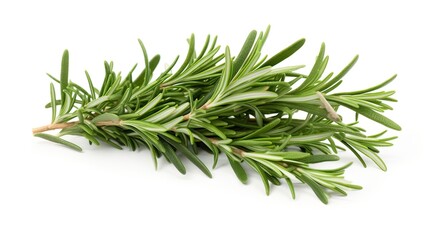 Fragrant rosemary leaves. Culinary excellence, aromatic infusion, flavor balance, versatile herb. Generated by AI