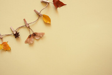 Creative autumn background with drying on rope leaves, berries and spices on beige background with copy space. Autumn, fall, thanksgiving concept. Flat lay. Top view, place for text copy space.