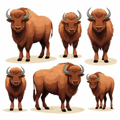 Set of different bison. Vector illustration isolated on white background.