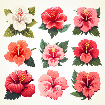 Hibiscus flower icon set vector.