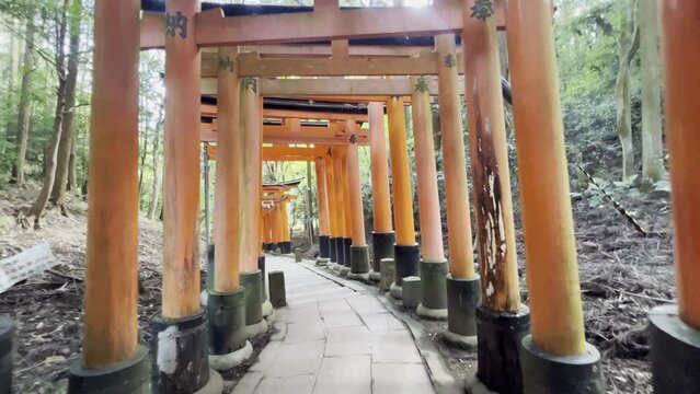 POV shot walking through iconic orange gates of Fushimi Inari Taisha