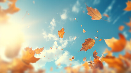 autumn leaf fall, falling leaves on the background of a light blue autumn sky, yellow and red leaves flying from the sky, view up