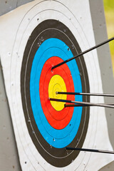 Archery target with arrows