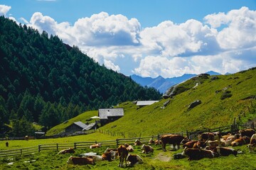 landscape in the mountains