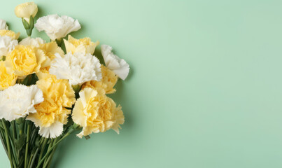 Elegant carnations in full bloom, presenting a harmonious blend of yellow and white hues.