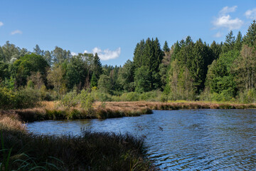 lake with forest in autumn light and blue sky	