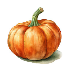 Watercolor pumpkin. Realistic fall vegetable. Watercolour illustration created with Generative Ai technology