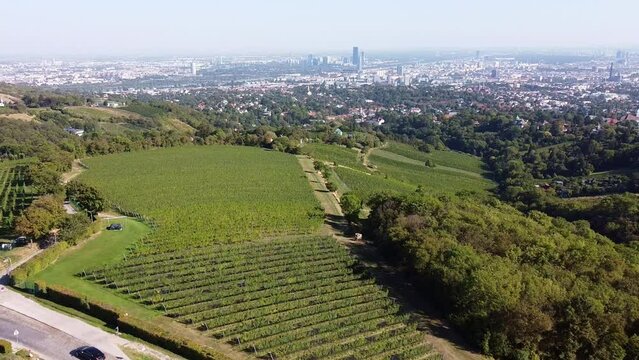 Kahlenberg Cobenzl Weinbau, Rückseite, Anlieferung , Wien 