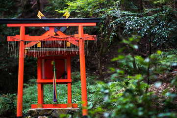 京都 高山寺の庭園に建てられた鮮やかな朱色の祠
