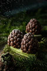 Chocolate pine cones dessert
