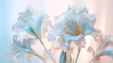  a close up of a white flower with a blue background.  generative ai