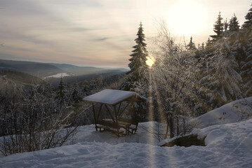 Sonnenstrahlen in einem verschneiten Winterwald